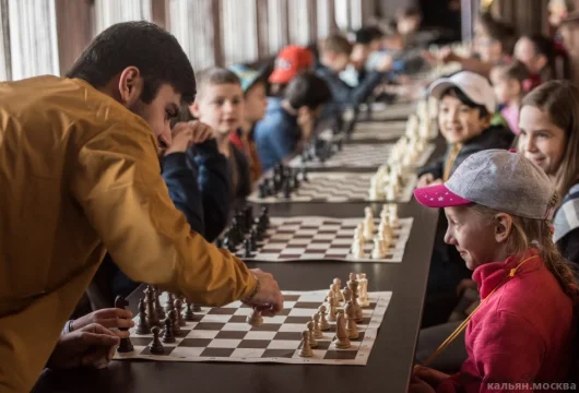 русская шахматная школа фото 8 - кальян.москва
