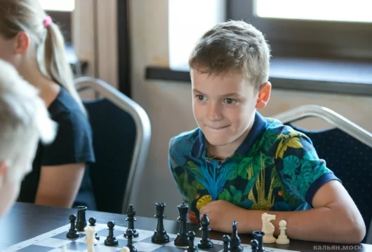 русская шахматная школа фото 1 - кальян.москва