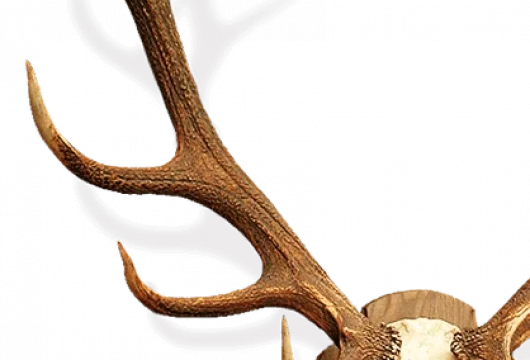 аляска лаундж фото 3 - кальян.москва